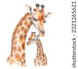 watercolor baby giraffe