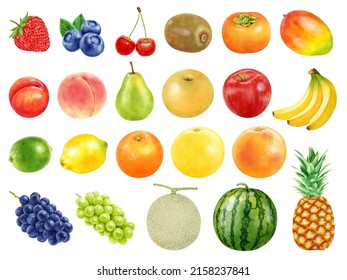Hand drawn watercolor on white background. Lots of fruit illustration sets.
