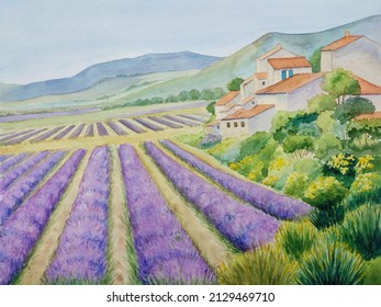 hand drawn watercolor painting of beautiful lavender fields. landscape painting with hills, houses, plants, trees, blooming lavender in rows, farm land, and blue sky for illustration, print, etc