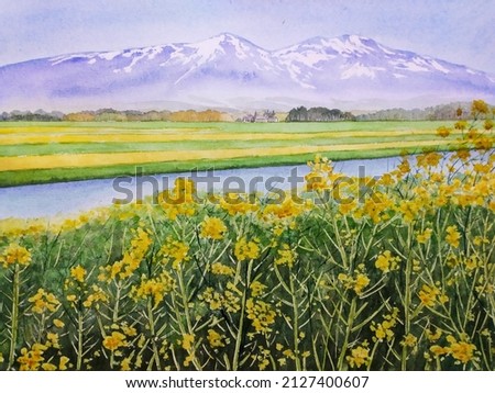 hand drawn watercolor painting of beautiful rapeseed field. landscape painting with yellow rape flowers or canola plants, river, mountain, panoramic countryside and blue sky for illustration,print,etc