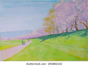 Hand Drawn Watercolor Painting Of Cherry Blossom Field. Landscape Painting With Sakura Trees, Fresh Green Grass, Park, People On The Street,and Blue Sky For Illustration, Print, Background, Etc