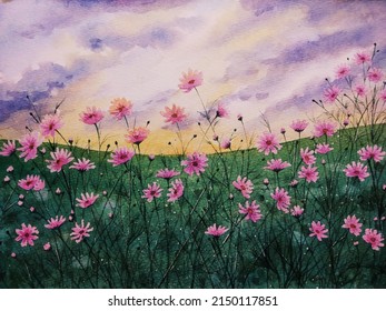 Hand Drawn Watercolor Painting Of Cosmos Field And Sunset. Landscape Painting With Blooming Pink Cosmos Flowers, Grass Field, Sun, Clouds,sunset Sky And Spring Summer Vibes For Illustration, Print,etc