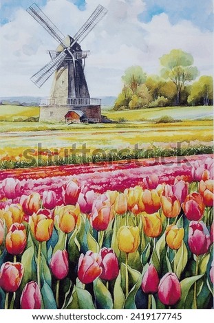 hand drawn watercolor painting of tulip field. Landscape painting with blooming tulips, colorful petals, green leaves, flower rows, windmill, trees and clouds blue sky 