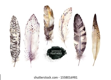 Hand Drawn Watercolor Paintings Vibrant Feather Stock Illustration ...