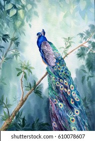 Hand drawn watercolor picture Paradise garden and the peacock