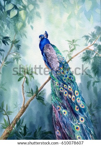 Hand drawn watercolor picture Paradise garden with the peacock