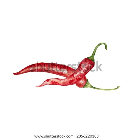 Hand drawn watercolor red chilli pepper. Clip art of hot spice. Peppery vegetable for cooking book, menu, restaurants, cafe. Painting for lable, packing, lable. for eco farming goods.