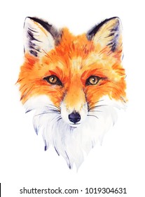 Hand Drawn Watercolor Red Fox Portrait.