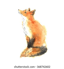 Hand Drawn Watercolor Red Fox