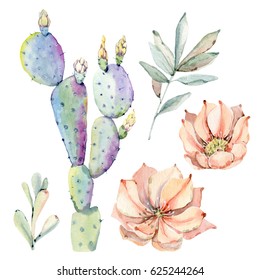 Hand drawn watercolor saguaro cactus. It's perfect for cards, posters, banners, invitations, greeting cards, prints.