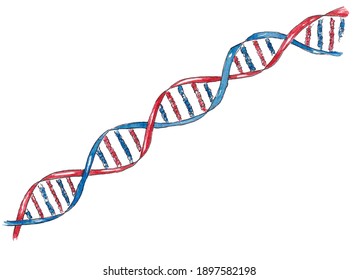 Hand Drawn Watercolor Science Element Of DNA Strand