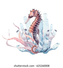hand drawn watercolor seahorse. It's perfect for card, pattern design, postcard, banner, poster.