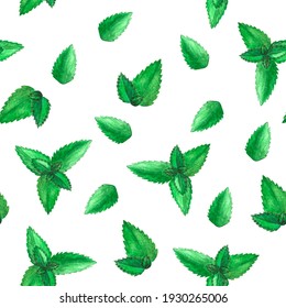 Hand drawn watercolor seamless  pattern with lot of green isolated peppermint leaves as background on white. Herbal aquarelle element for printing fabric, wrapping paper, cards