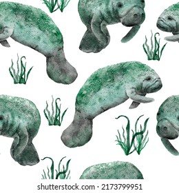 Hand Drawn Watercolor Seamless Pattern With Manatee Cow. Sea Ocean Marine Animal, Nautical Underwater Endangered Mammal Species. Blue Gray Illustration For Fabric Nursery Decor, Under The Sea Prints.