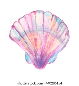 Hand Drawn Watercolor Shell Isolated On White Background.For Your Design.