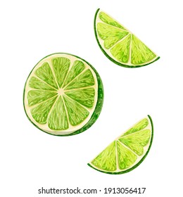 Hand Drawn Watercolor Style Illustration Of Lime