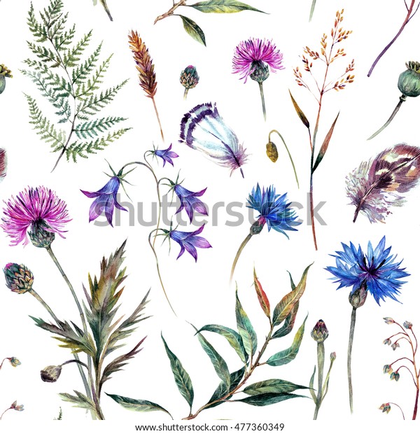 白い背景に手描きの水彩 夏の野草の花柄 コーンフラワー アザミ ヤナギの枝 ベル 羽など 最新のビンテージスタイルのリアルな植物イラスト のイラスト素材