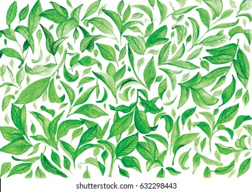 Hand Drawn Watercolor Tea Leaves Pattern