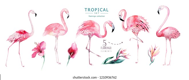 Hand drawn watercolor tropical birds set of flamingo. Exotic rose bird illustrations, jungle tree, brazil trendy. Perfect for fabric design. Aloha collection.