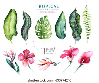 Hand drawn watercolor tropical plants set . Exotic palm leaves, jungle tree, brazil tropic botany elements and flowers. Perfect for fabric design. Aloha collection.