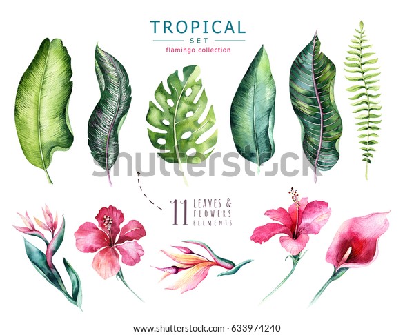 手描きの水彩熱帯植物セット エキゾチックなヤシの葉 ジャングルの木 ブラジルの南向きの植物 花 ファブリックデザインに最適 アロハコレクション のイラスト素材