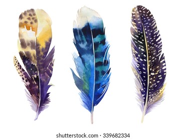 Hand drawn watercolor vibrant feather set.  Boho style. illustration isolated on white. Bird fly design for T-shirt, invitation, wedding card.Rustic feathers Bright colors. 