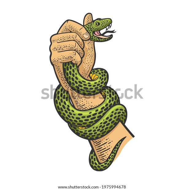 Hand Holding Snake Color Sketch Engraving Stock Illustration 1975994678 ...