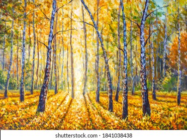 Hand made painting Birch autumn forest with bright sunlight on ground covered with lush foliage. Beautiful autumn park modern artwork.