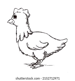 Hand Made Sketch Chiken Stock Illustration 2152712971 | Shutterstock