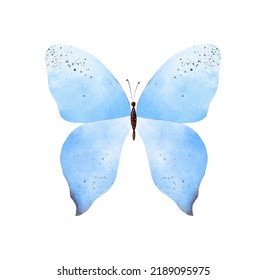 Hand Painted Blue Watercolor Butterfly Clipart On White Background