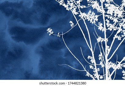 Hand painted botanical image. Decorative picture for creative design of cards, invitations, banners, websites, posters. Beautiful artwork. White trees. Blue background. Horizontal illustration.