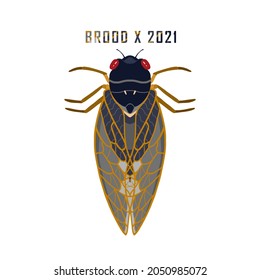 Hand Painted Brood X Cicada Illustration