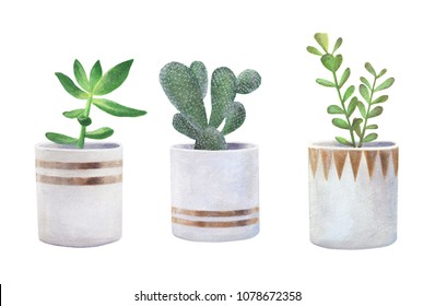 Hand Painted Cactus Set In Flower Pots. Isolated Objects On White Background. Illustration Of Houseplants