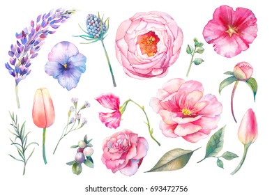 Hand Painted Floral Elements Set. Watercolor Botanical Illustration Of Tulip, Peony, Rose, Marigold Flowers And Leaves. Natural Objects Isolated On White Background