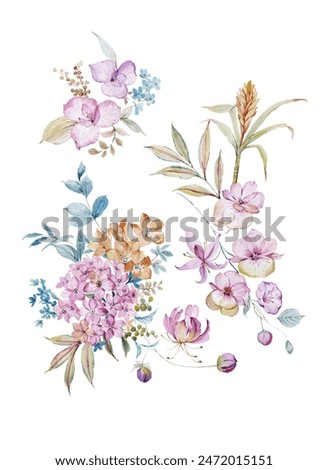 Hand painted floral elements set. Watercolor botanical illustration of eucalyptus, tulip, peony, rose,anemone flowers and leaves. Natural objects isolated on white background