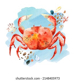 Hand Painted High Quality Set Of Underwater Life Watercolor Objects. Sea Shells, Crabs, Corals, Stones, Stars. For Cards, Invitation, Wedding Design, Cover, Poster.