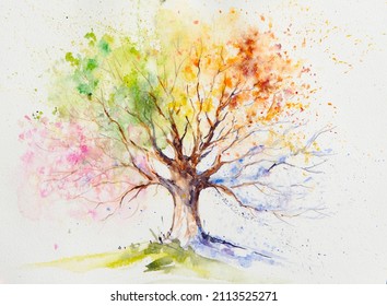 
Hand painted illustration colorful four season tree Picture created and watercolors paper 