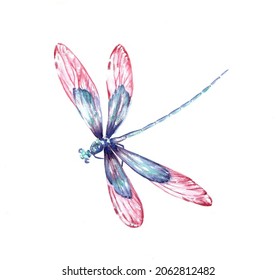 23,366 Water color dragonfly Images, Stock Photos & Vectors | Shutterstock