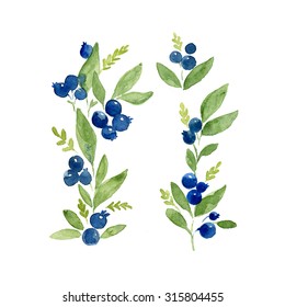 Hand painted watercolor blueberry. Floral illustration or elements perfect for textile design, print, summer wedding, autumn congratulation card or invitations.