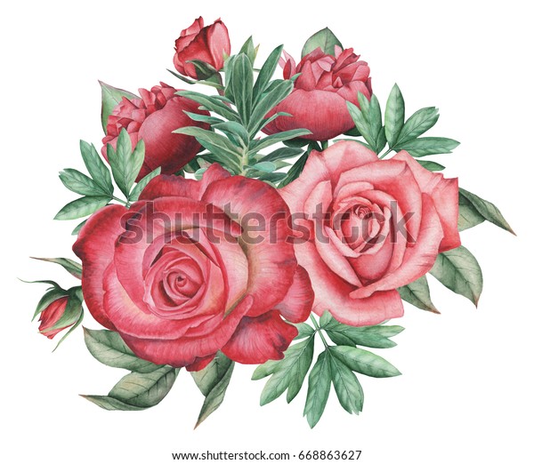 Hand Painted Watercolor Charming Combination Flowers Stock Illustration ...
