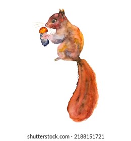 Hand painted watercolor cute animals  Red squirrel  Hand  drawn  Autumn in the forest  Watercolor illustration Lovely illustration for pattern  baby shower  invitation  greeting card