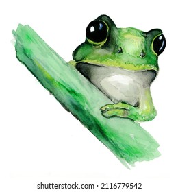 Hand Painted Watercolor Cute Green Frog