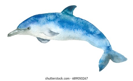 Hand painted watercolor dolphin in cartoon style. Sea mammal.