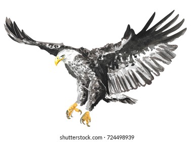 Hand painted watercolor eagle isolated on white background.