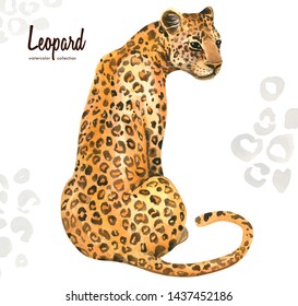 Hand painted watercolor exotic wild cat Leopard, isolated on white background. Illustration of a realistic animal perfect for print, cards, posters and parties. The trend of an exotic summer print.