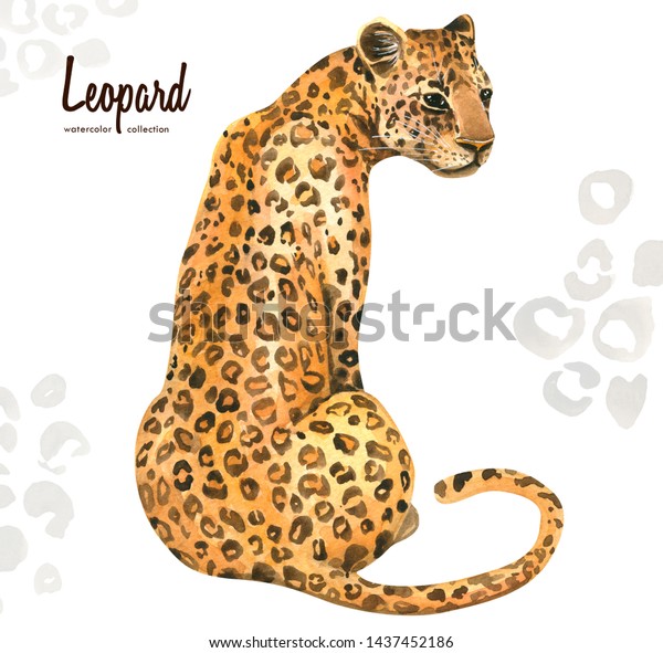 白い背景に手描きの水彩のエキゾチックな野猫ヒョウ 印刷 カード