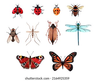 Hand Painted Watercolor Illustration Set With Butterfly, Ladybug, Dragonfly, Fly, Honey Bee, May Bug; Mosquito. Watercolour Insects Top View Isolated On White Background. 