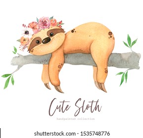 Hand painted watercolor illustration of a tropical cute animal sloth, isolated on white background.