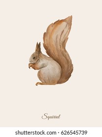 Hand Painted Watercolor Poster With Squirrel In Vintage Retro Style