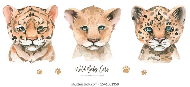 Hand Painted Watercolor Set Cute Tiger, Leopard And Lion Animal Character, Isolated On White Background. Illustration Exotic Tropical Little Wild Baby Cats. 